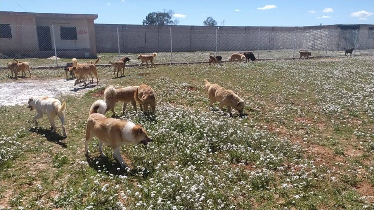 أرض مشروع مأوى ستار الجديد