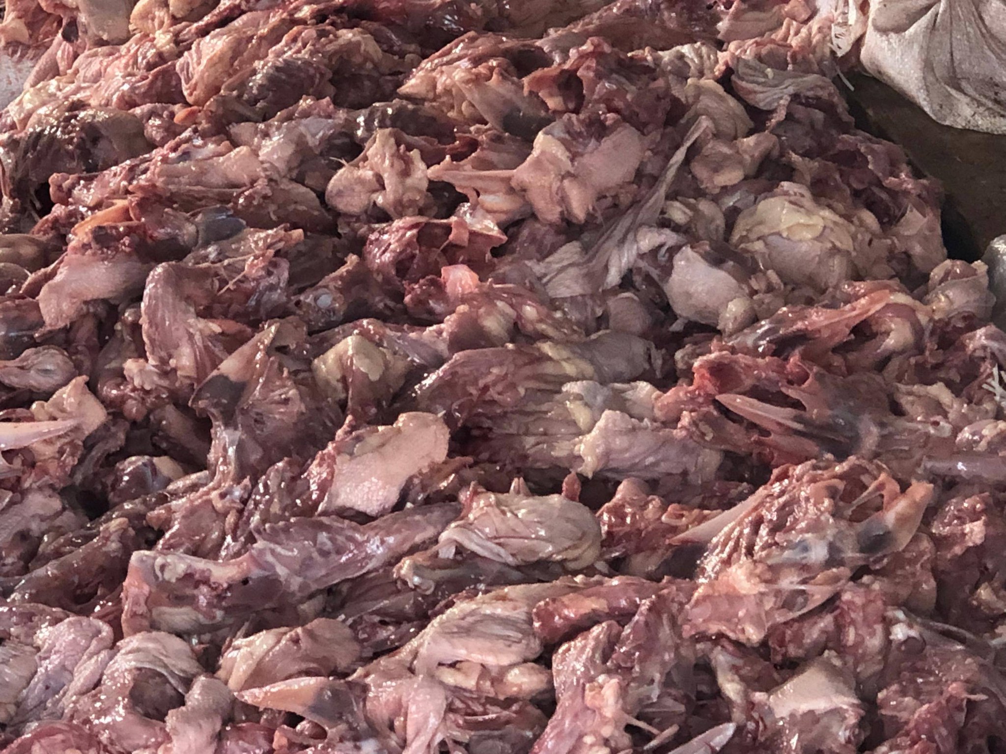 حملة تبرع: شتاء دافئ لأصدقائنا