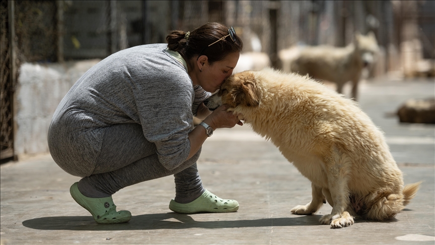 نشاطات: يوم مفتوح في الملجأ